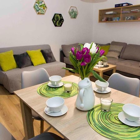 Apartament Grapa Żywiec Extérieur photo