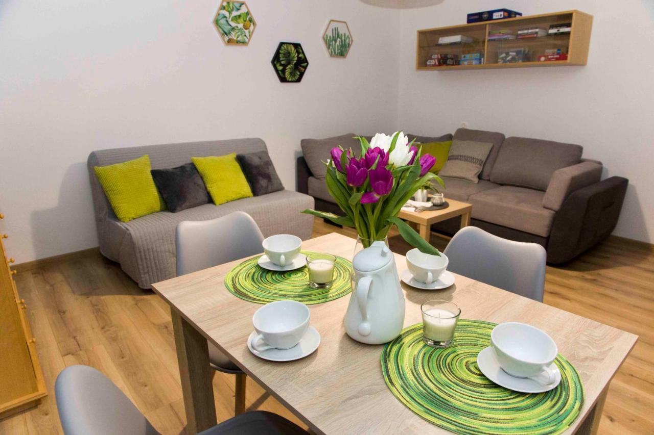 Apartament Grapa Żywiec Extérieur photo